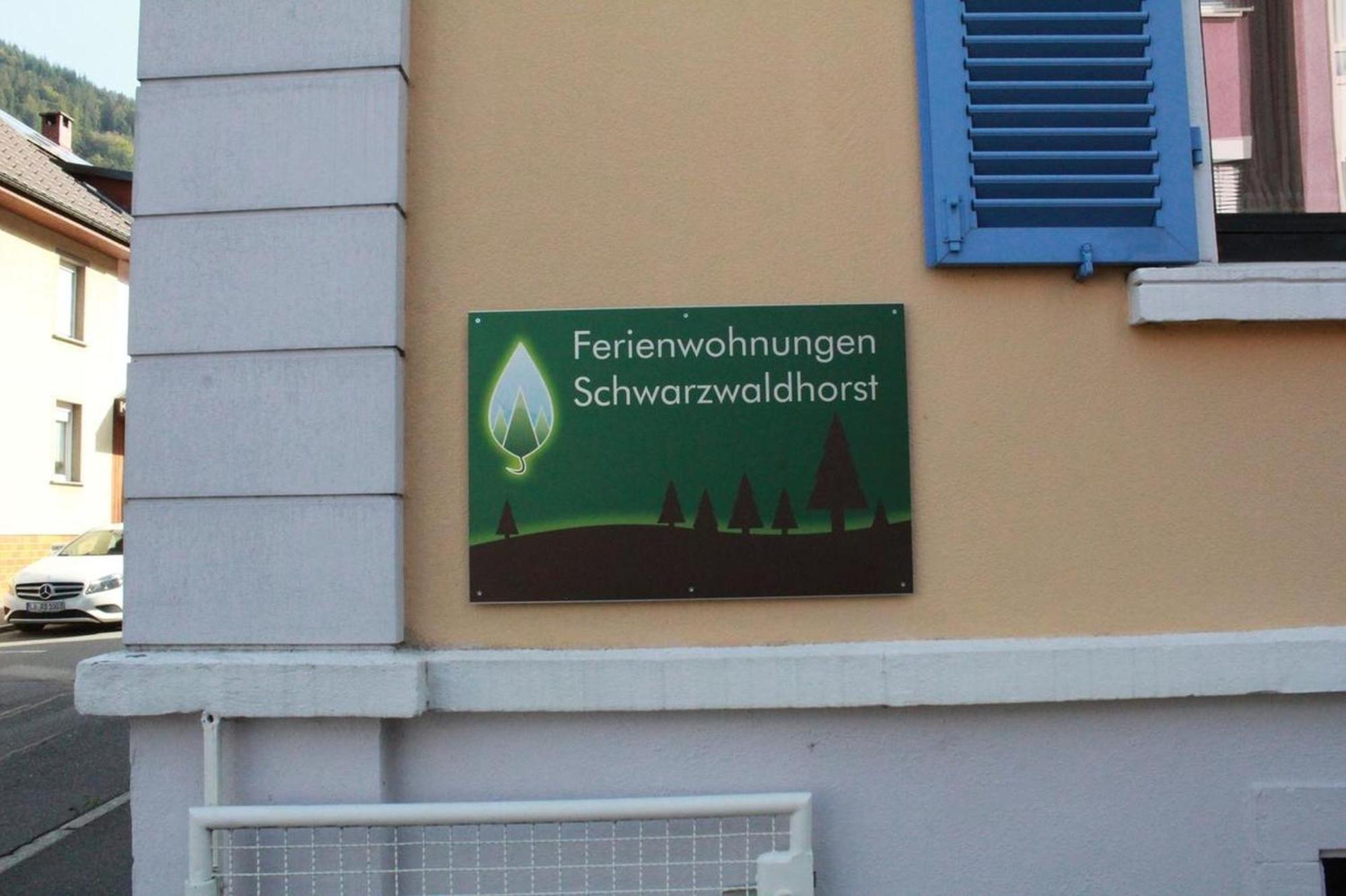 Schwarzwaldhorst 1 Fuer 8 Gaeste In Todtnau, Liftverbund Feldberg エクステリア 写真