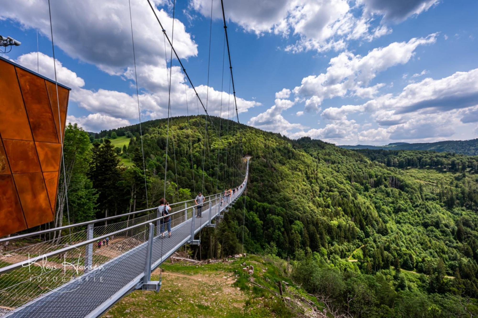 Schwarzwaldhorst 1 Fuer 8 Gaeste In Todtnau, Liftverbund Feldberg エクステリア 写真