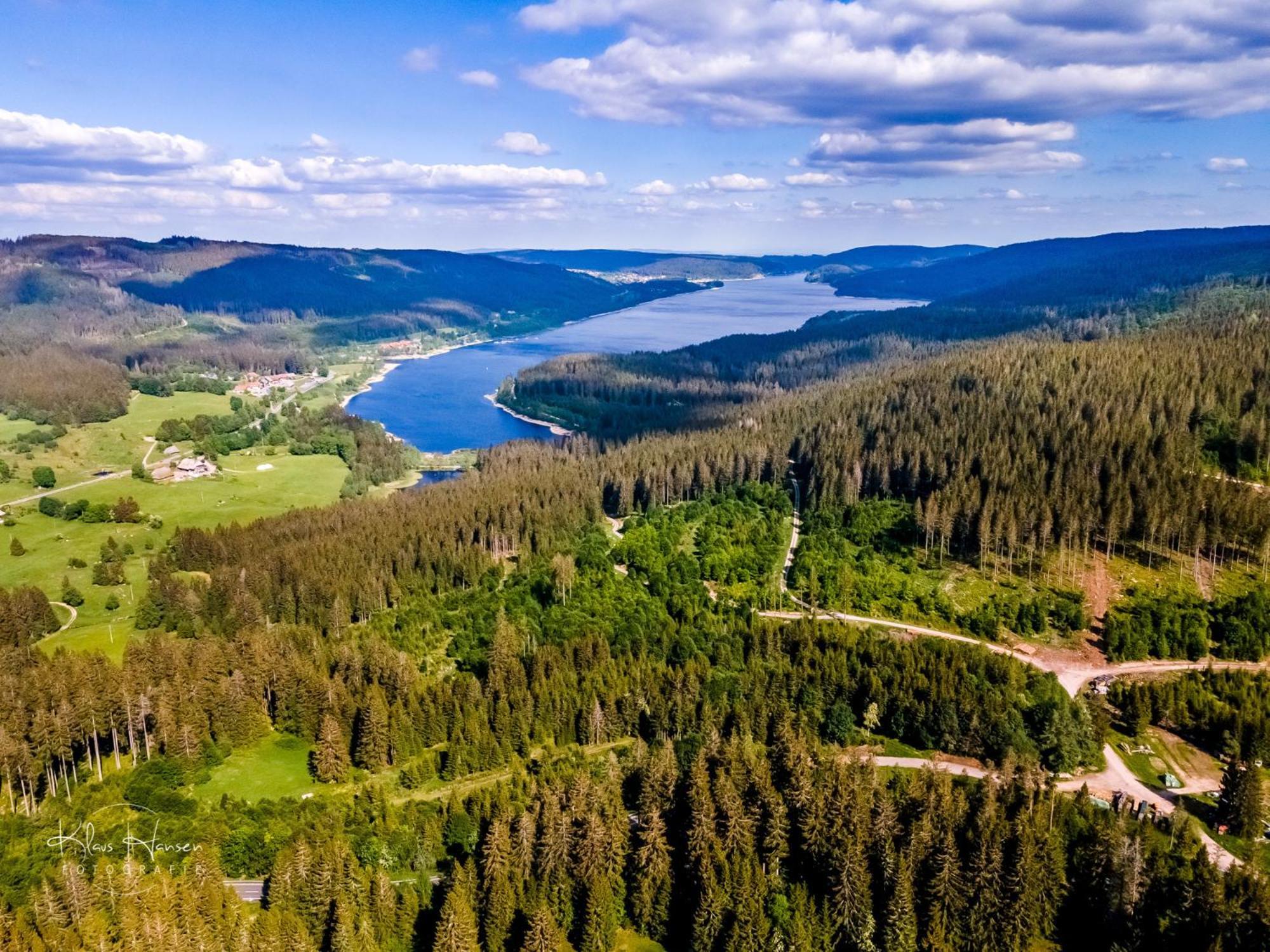 Schwarzwaldhorst 1 Fuer 8 Gaeste In Todtnau, Liftverbund Feldberg エクステリア 写真